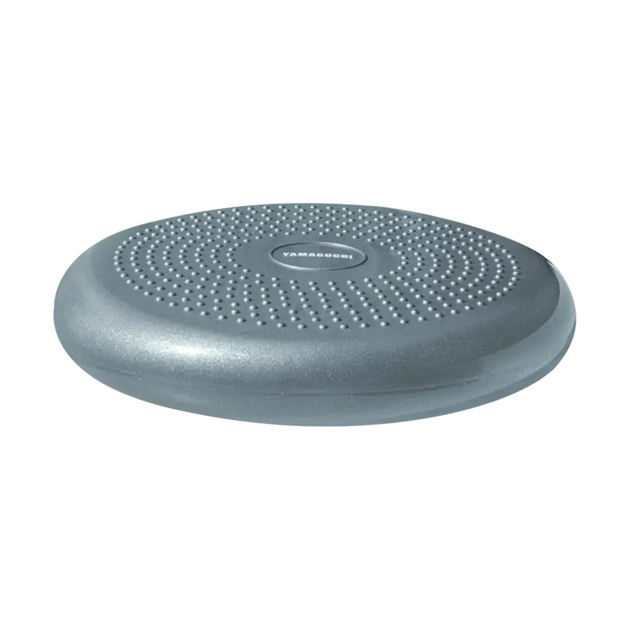 Yamaguchi Balance Disk (gray)